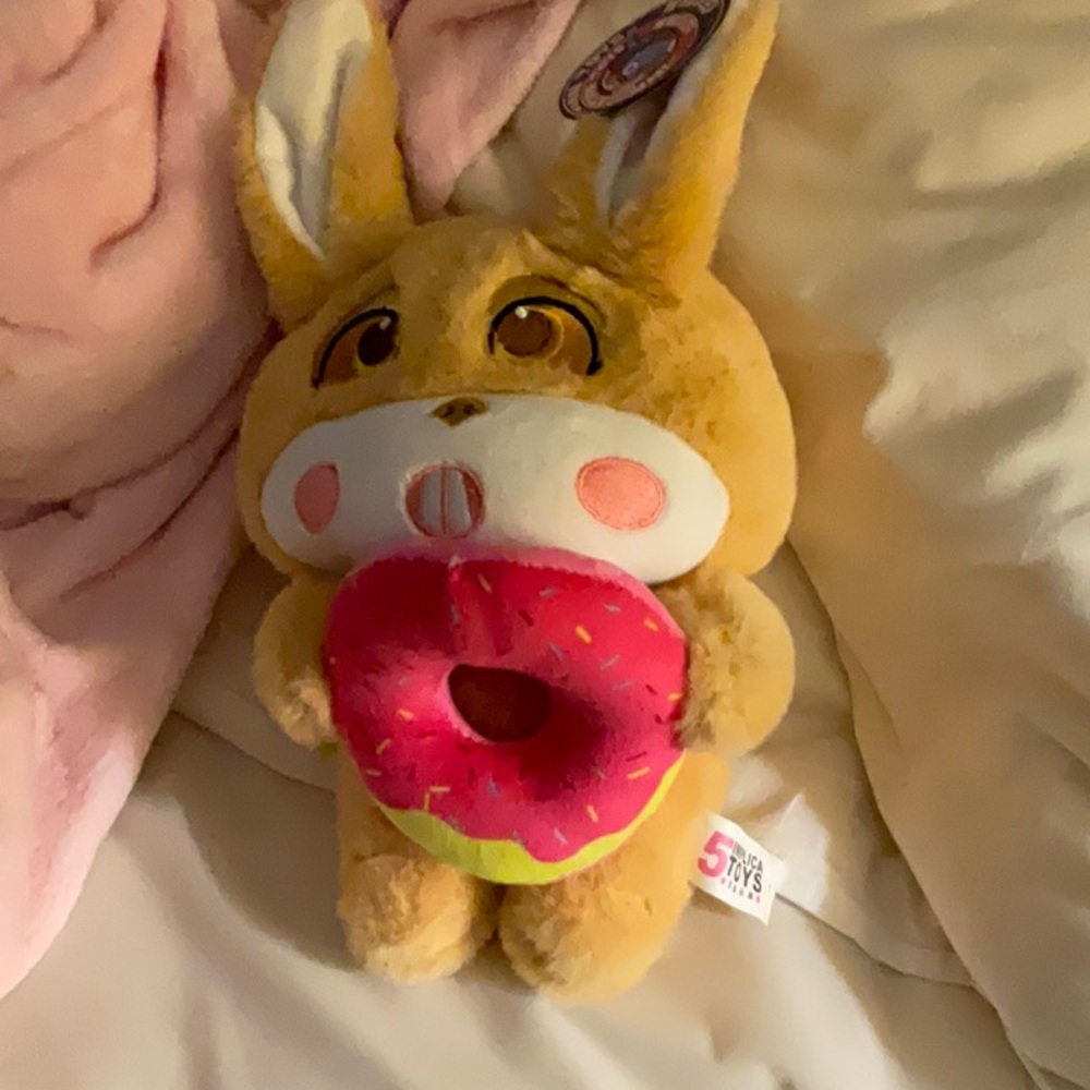 Cute Bunny Plush with Donut